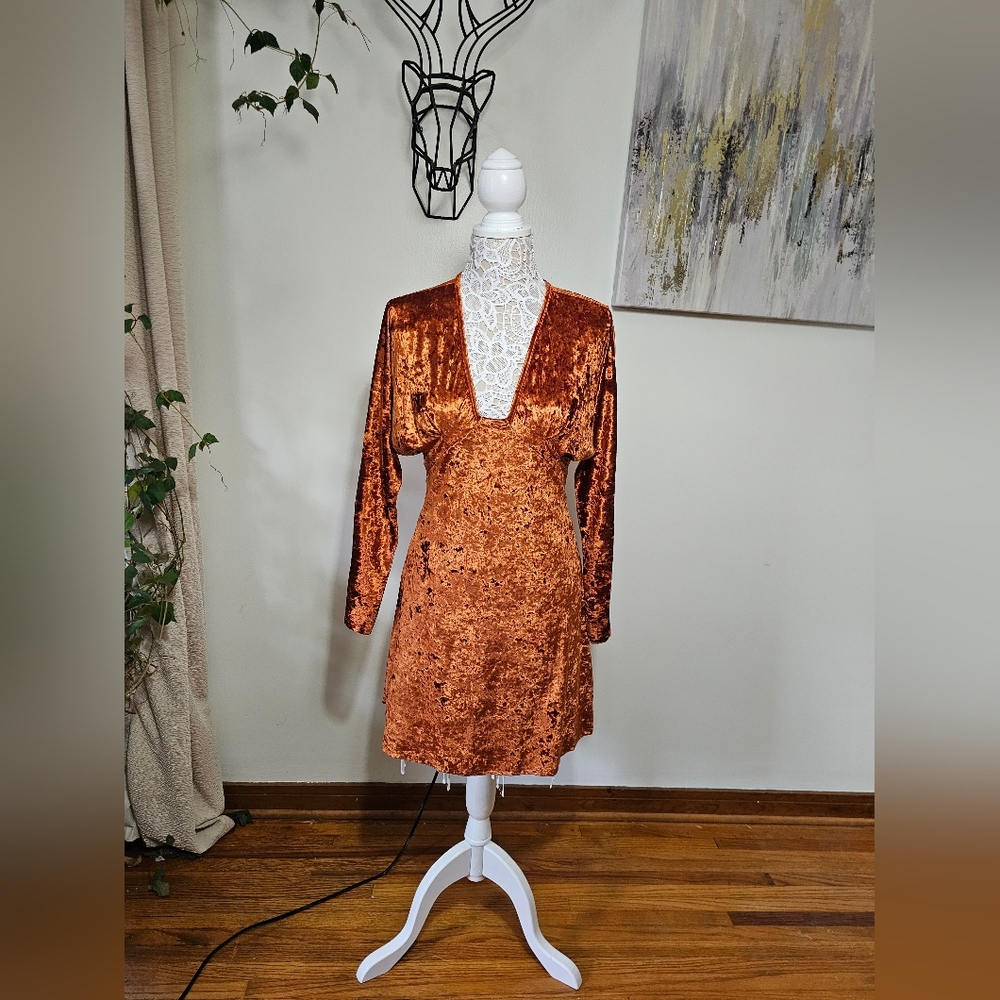 October Rust Long Sleeve Velvet Dress